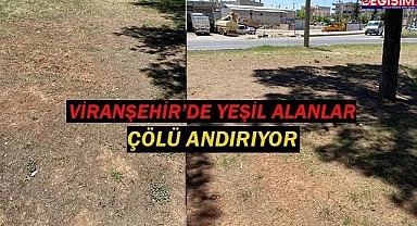 Sahra Çölü değil Viranşehir yeşil alanları