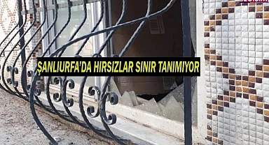 Şanlıurfa'da hırsızlık olayları artıyor!