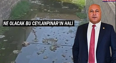 Ceylanpınar Belediyesi ne yapıyor!