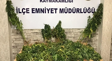 Antep’te hint kenevir ele geçirildi