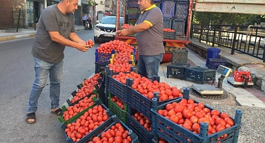 Domates fiyatları cep yakıyor