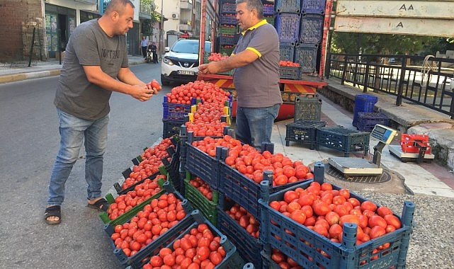 Domates fiyatları cep yakıyor