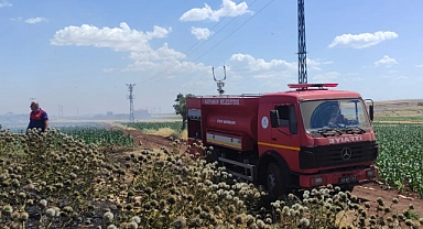 Urfa karayolu üzerinde anız yangını korkuttu!