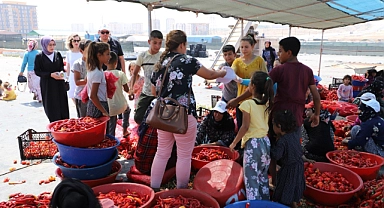 İsot işçilerine güneş çarpması konusunda uyarı