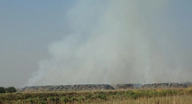 25 ton mısır balyası küle döndü