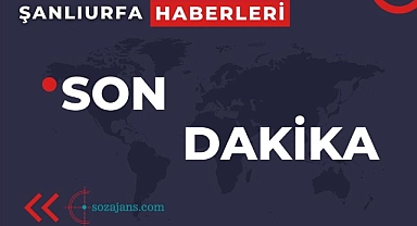 Urfa'da otomobil şarampole devrildi: 4 yaralı