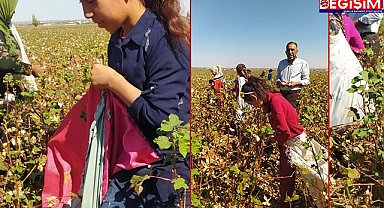 Urfa'nın eğitim seviyesinin neden düşük olduğunun fotoğrafı