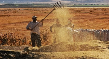 Tarımsal girdi fiyat endeksi bir yılda yüzde 112,41 arttı