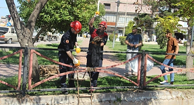 Derede mahsur kalan kaplumbağa kurtarıldı