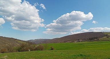 Evlilik kalp hastalıklarından koruyor