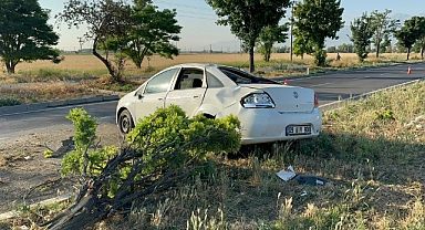 Ağaçları devirerek durabilen otomobilde 2 kişi yaralandı