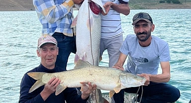 Fırat Nehri'nde 30 kiloluk turna balığı