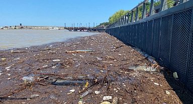 Yağmur sonrası çöp ve odun parçaları limanda toplandı