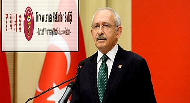 Kılıçdaroğlu'ndan veteriner hekimlere destek