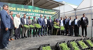 Urfa'da çiftçilere 2 milyon sebze fidesi dağıtıldı