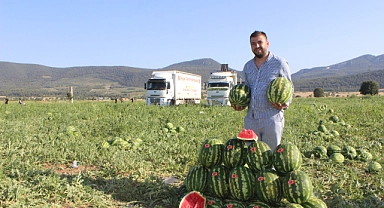 Urfalı mevsimlik işçiler Bilecik'te karpuz hasadında