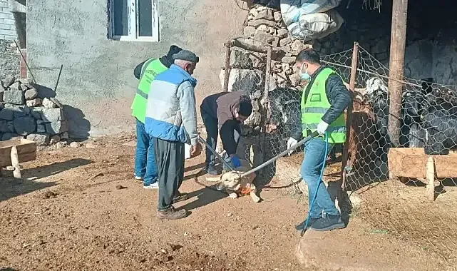 Şanlıurfa'da kuduz köpek saldırısı kamerada! Köy karantinaya alındı