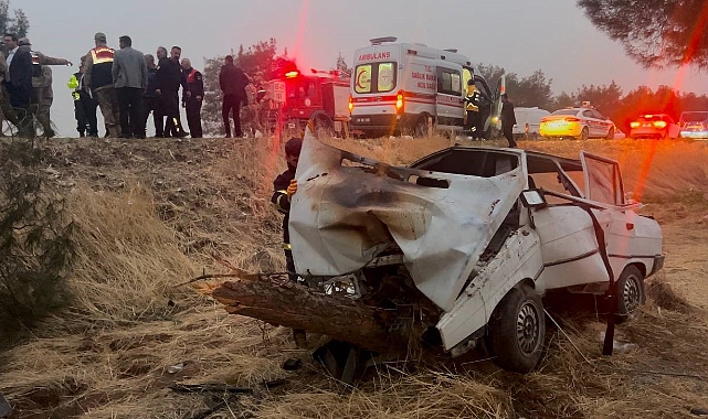 Şanlıurfa'da otomobil ağaca çarptı!